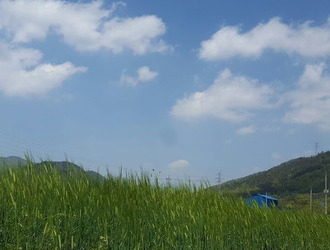 해맑음팜 농장